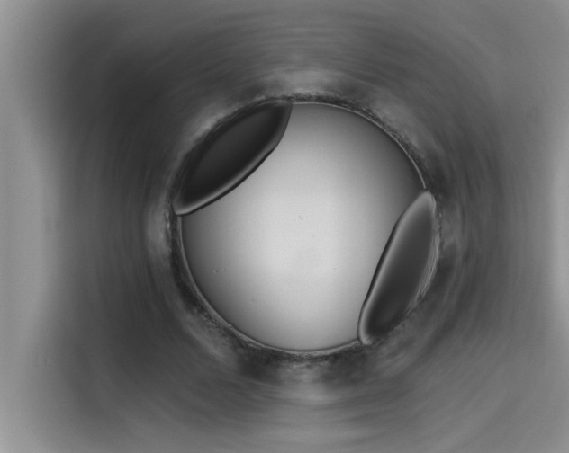 X0000114550680200910191412