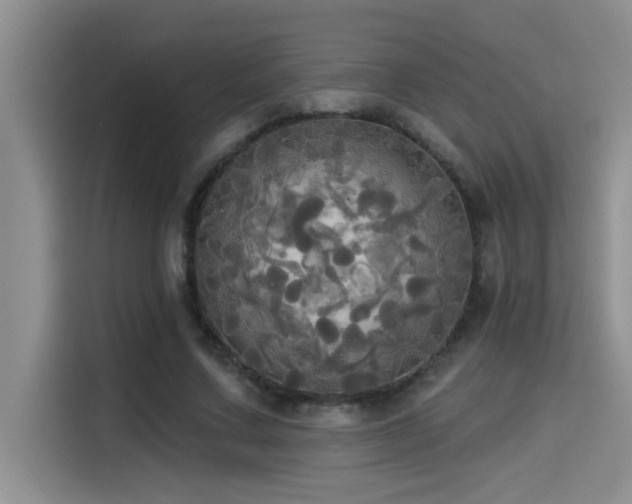 X0000114550683200910191412