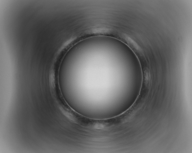 X0000114550684200910191412