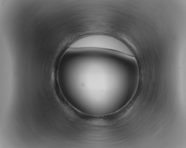 X0000114550685200910191412