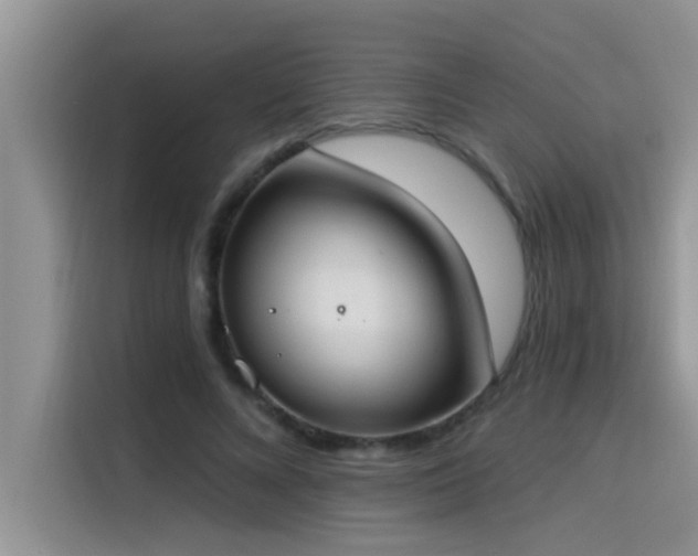 X0000114550688200910191412