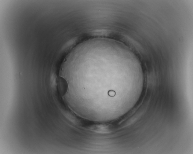 X0000114550692200910191412