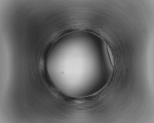X0000114550693200910191411