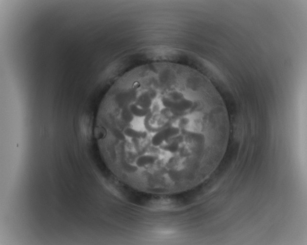 X0000114550695200910191411