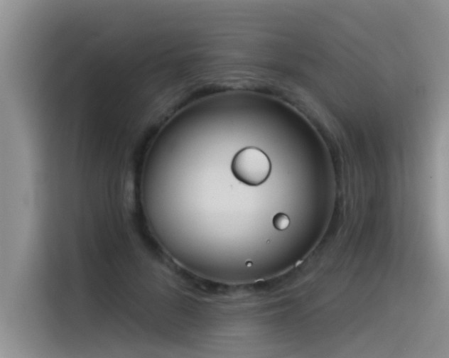 X0000114550696200910191411