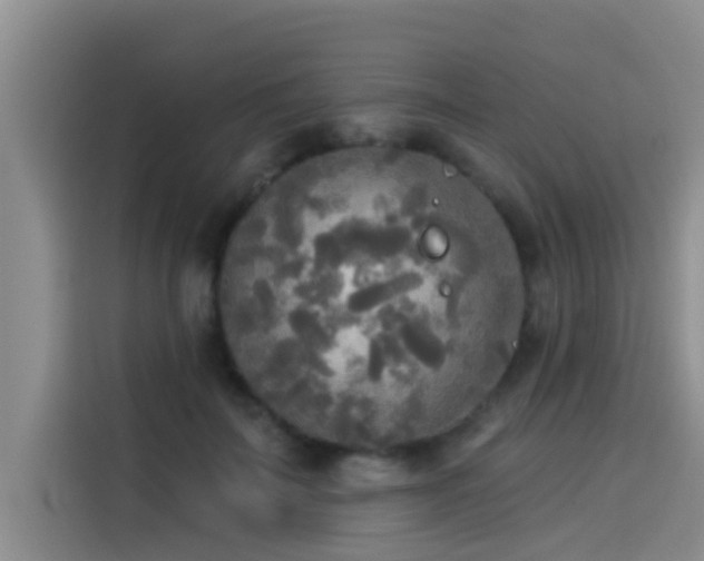 X0000114550699200910191411