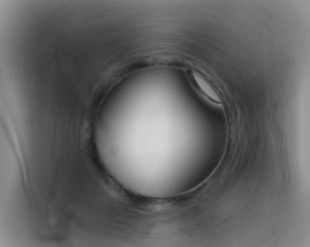 X0000114550701200910191411