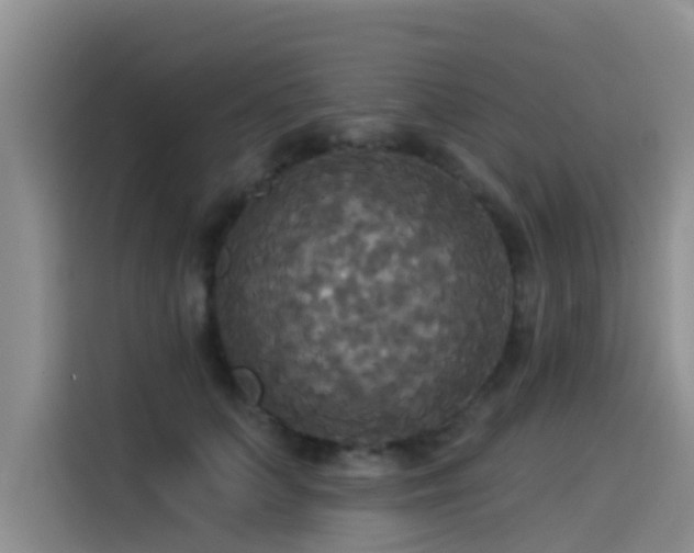 X0000114550703200910191411