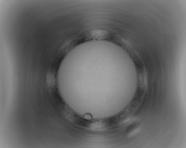 X0000114550705200910191411