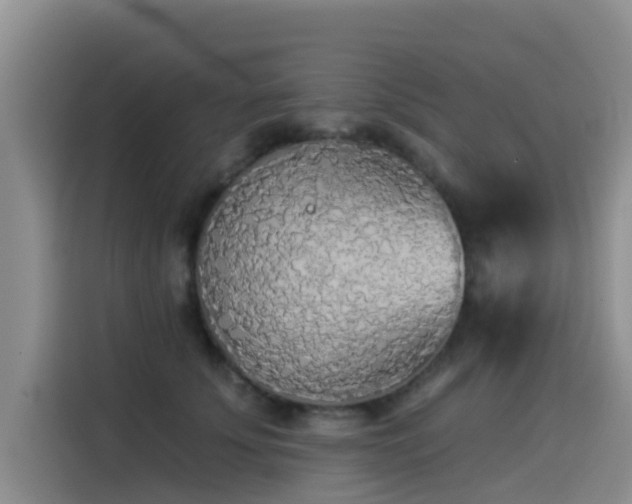 X0000114550707200910191411