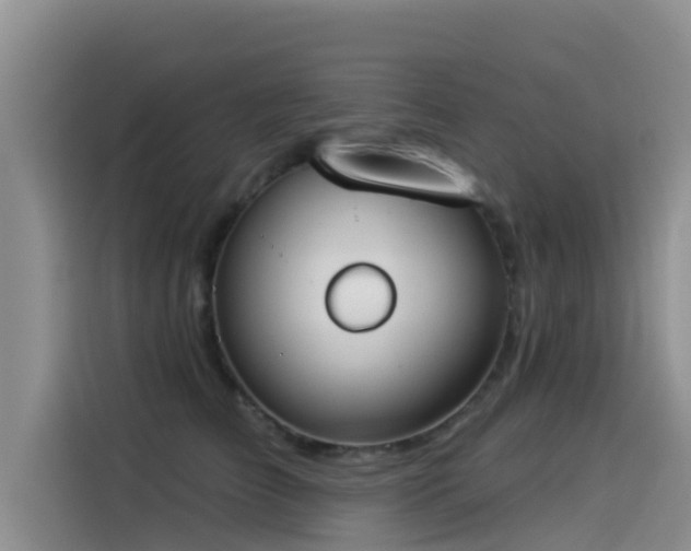 X0000114550709200910191411