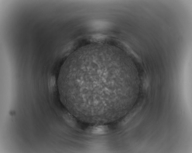 X0000114550711200910191411