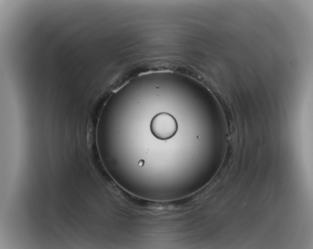 X0000114550712200910191411