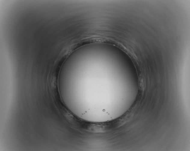 X0000114550713200910191411