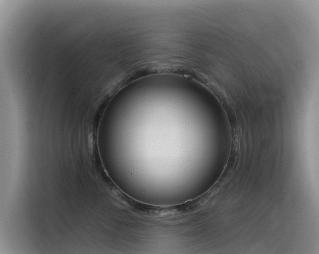 X0000114550716200910191411