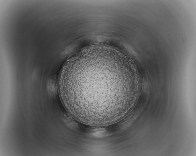 X0000114550719200910191411