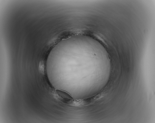X0000114550720200910191411