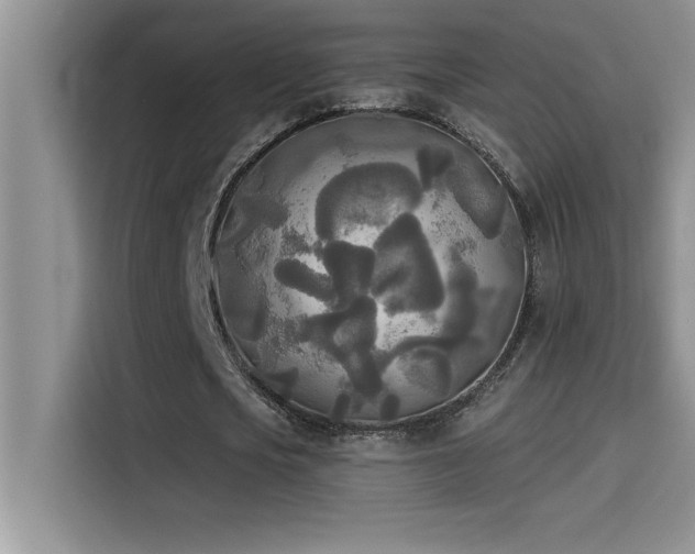 X0000114550721200910191410