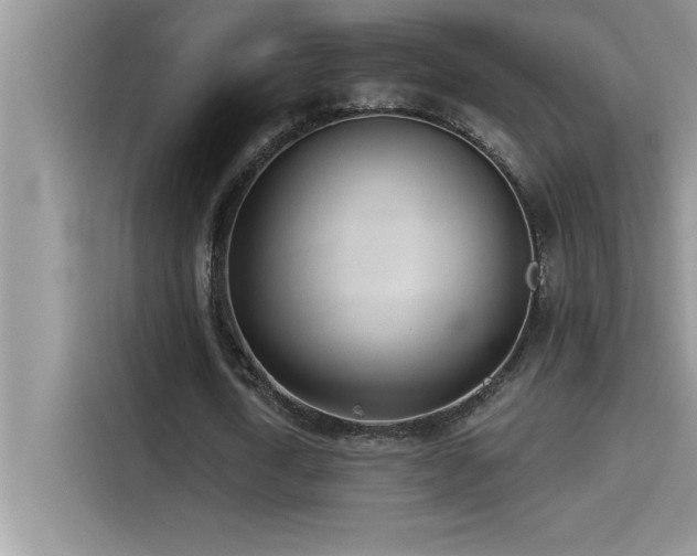 X0000114550722200910191410