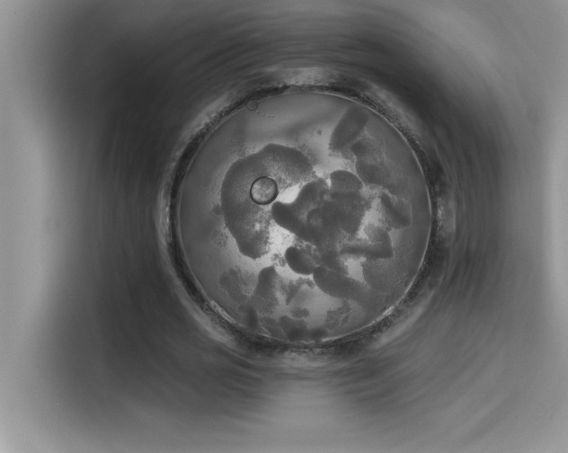 X0000114550725200910191410