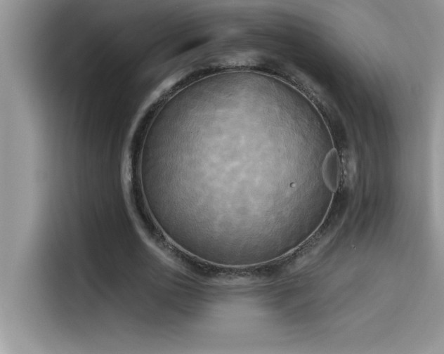 X0000114550726200910191410