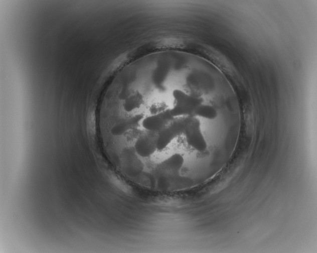 X0000114550729200910191411
