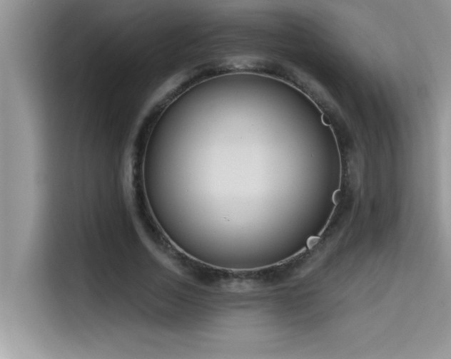 X0000114550730200910191411