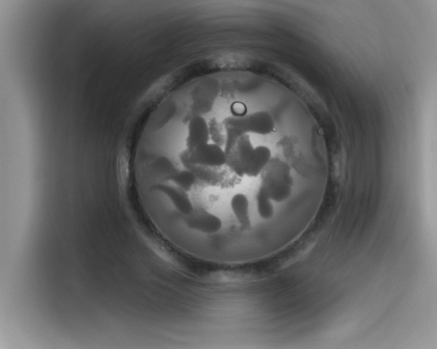 X0000114550733200910191411