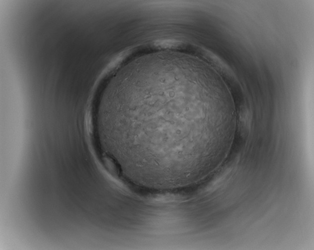 X0000114550734200910191411