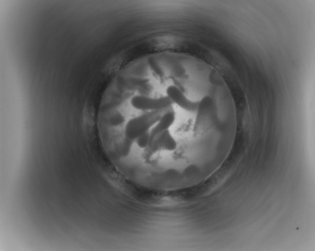 X0000114550737200910191411