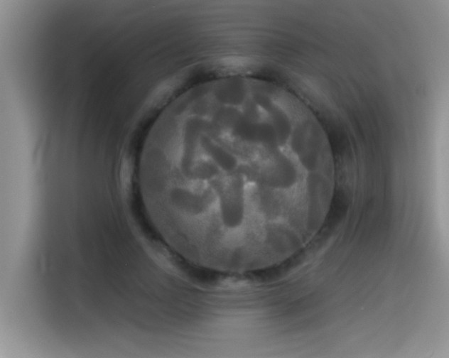 X0000114550742200910191411