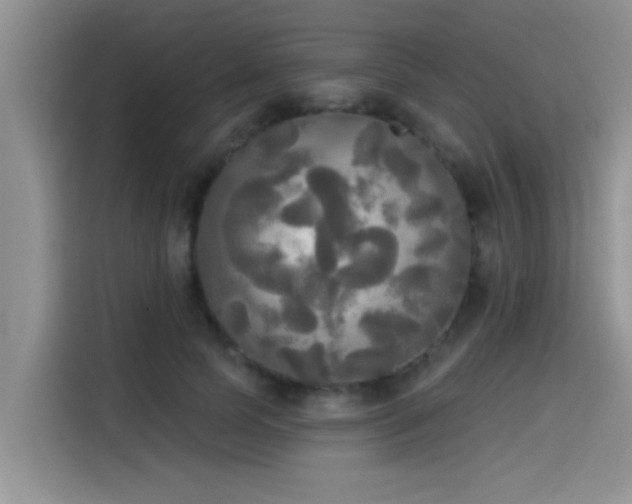 X0000114550745200910191411