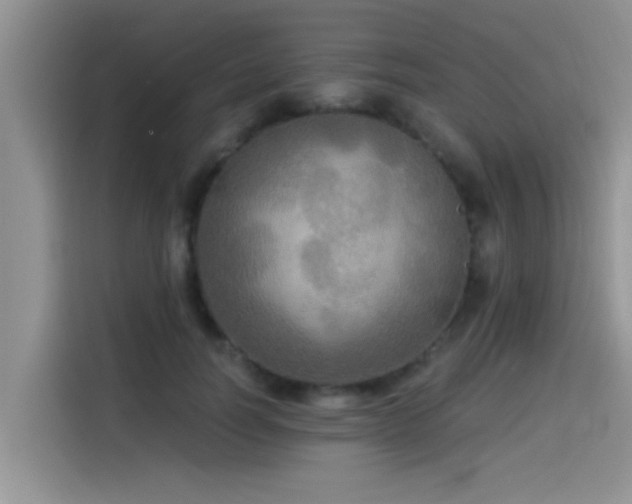 X0000114550746200910191411