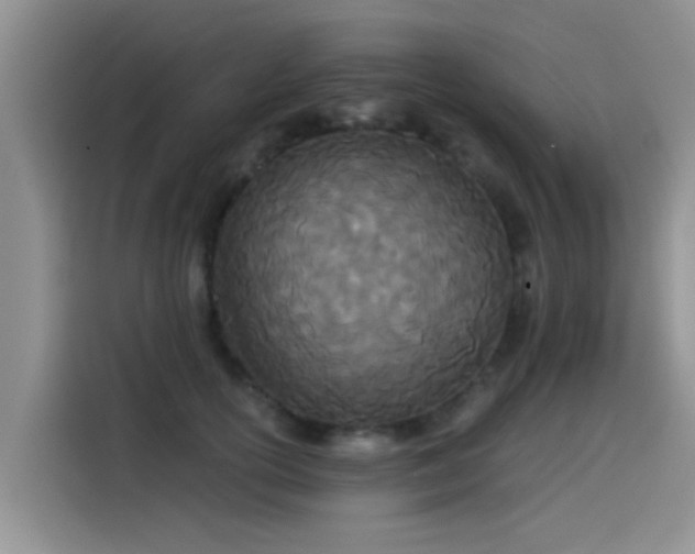 X0000114550754200910191411