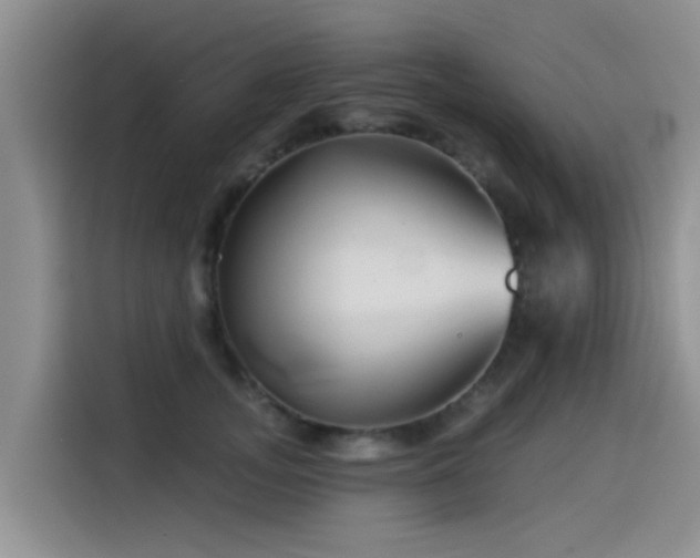X0000114550755200910191411