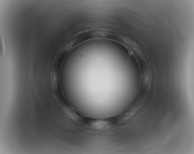 X0000114550759200910191411