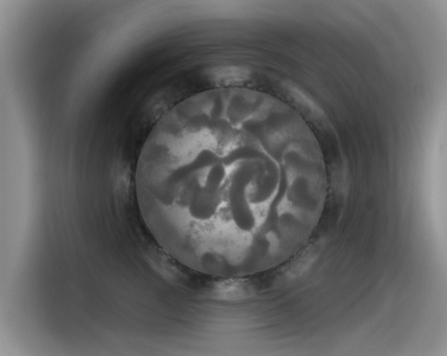 X0000114550761200910191411