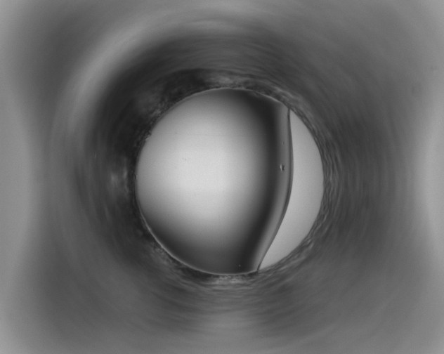 X0000114550762200910191411