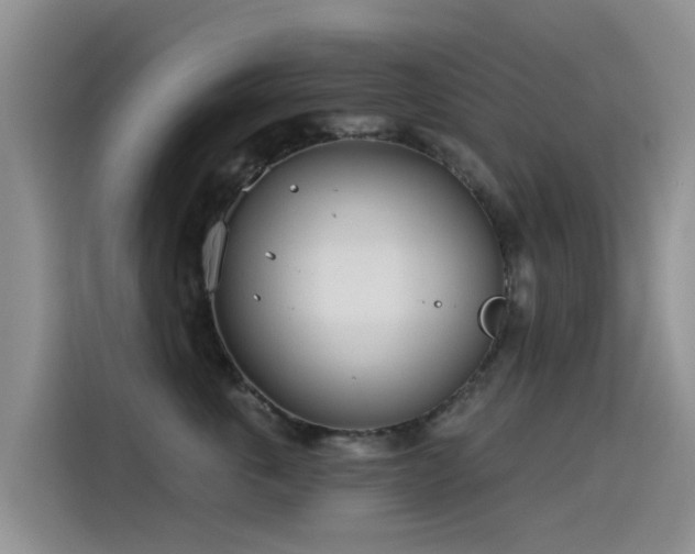 X0000114550763200910191411