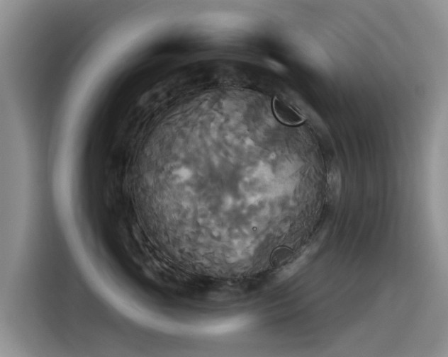 X0000114550765200910191411
