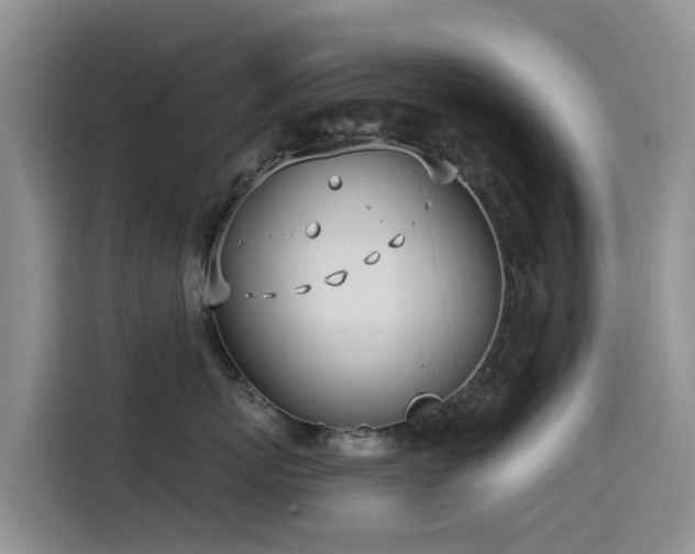X0000114550767200910191411