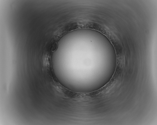 X0000114550770200910191410