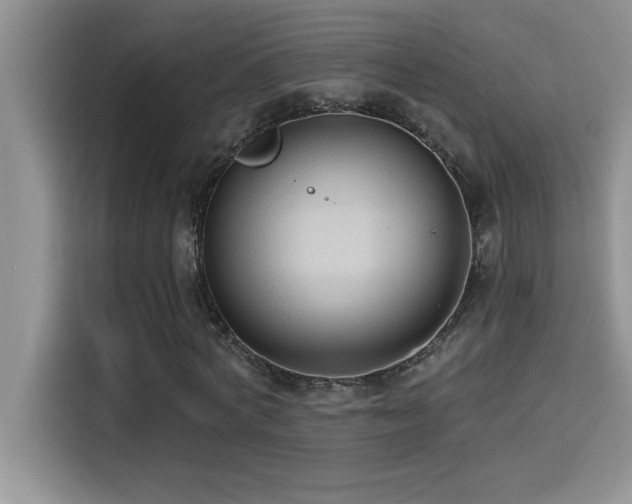 X0000114550772200910191410