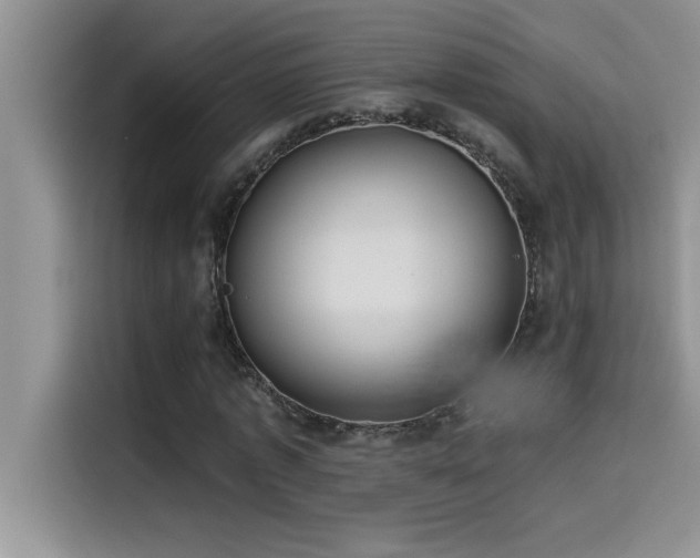 X0000114550773200910191410