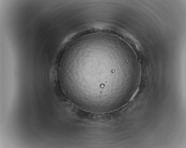 X0000114550776200910191410