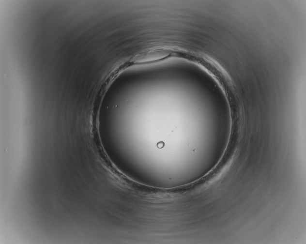 X0000114550777200910191410