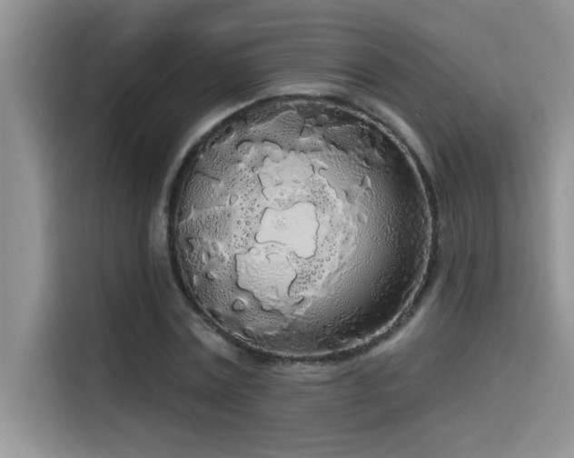 X0000114550779200910191410