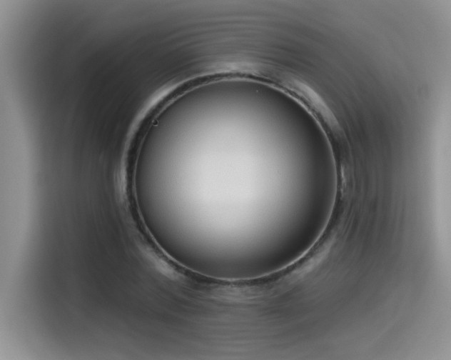 X0000114550780200910191410