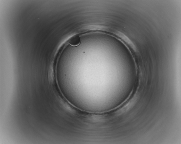 X0000114550782200910191410