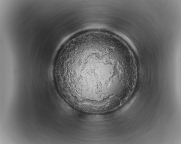 X0000114550783200910191410